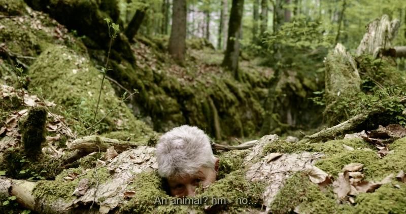 The Great Expedition