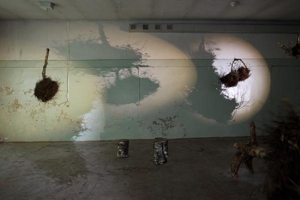 Transformācijas. Raganas slota