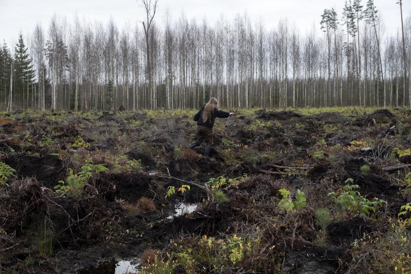 Bēlis. Smiltenes tumšās folkloras projekts