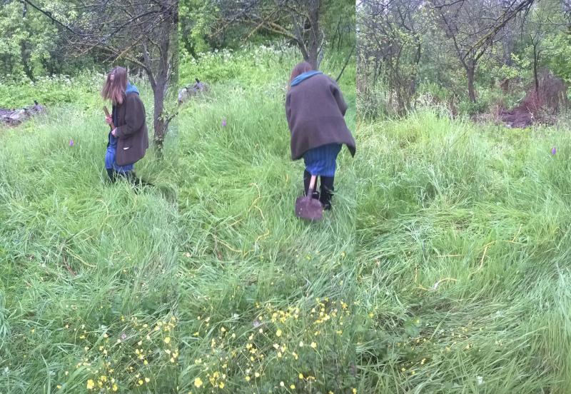 2. Pēdējais pikniks pamestajos un paradīzveidīgajos mazdārziņos