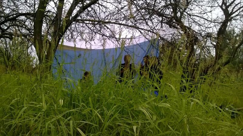 2. Pēdējais pikniks pamestajos un paradīzveidīgajos mazdārziņos