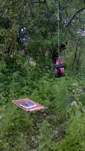 2. Pēdējais pikniks pamestajos un paradīzveidīgajos mazdārziņos