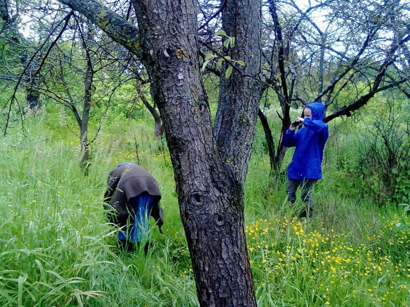 2. Pēdējais pikniks pamestajos un paradīzveidīgajos mazdārziņos