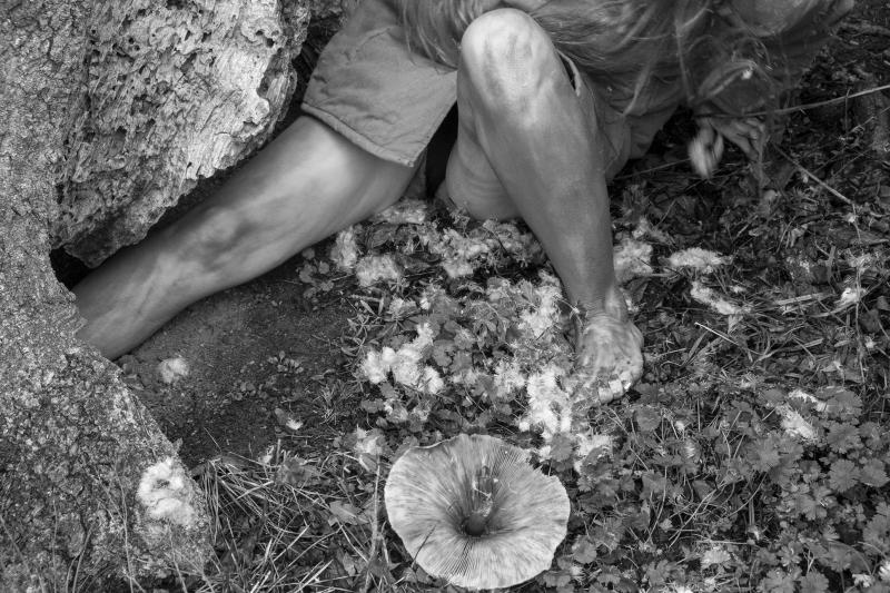 Laiks aizķēries zaros. Par koku un laika attiecībām