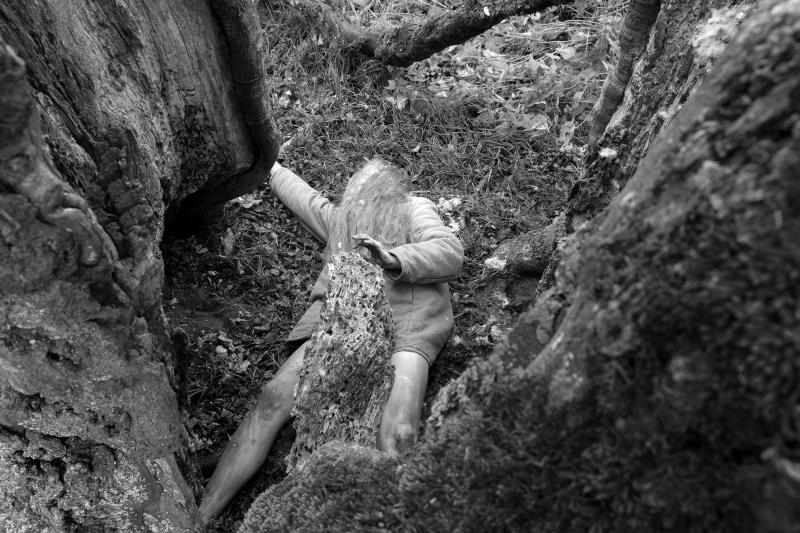 Laiks aizķēries zaros. Par koku un laika attiecībām