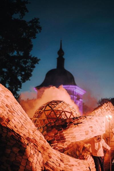 Viļņošanās rezonanse