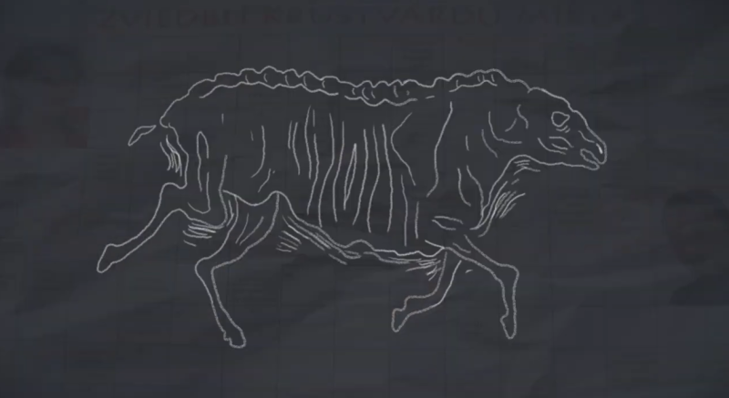 Viss ko (es) atceros