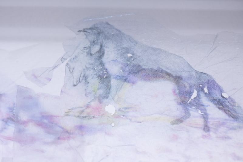 OOZE