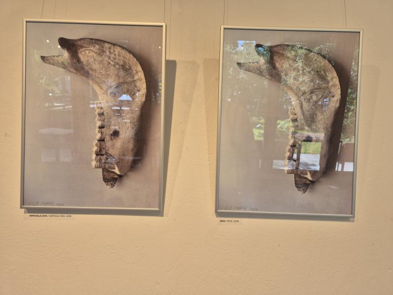 Totēmi. Sastingums un reizē dzīve
